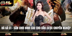 Đá gà C1