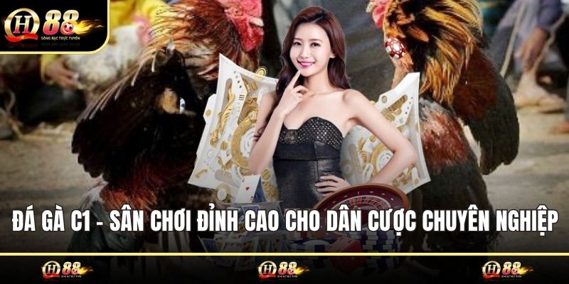 Đá gà C1