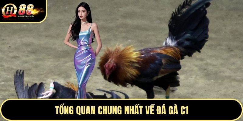 Tổng quan chung nhất về đá gà C1
