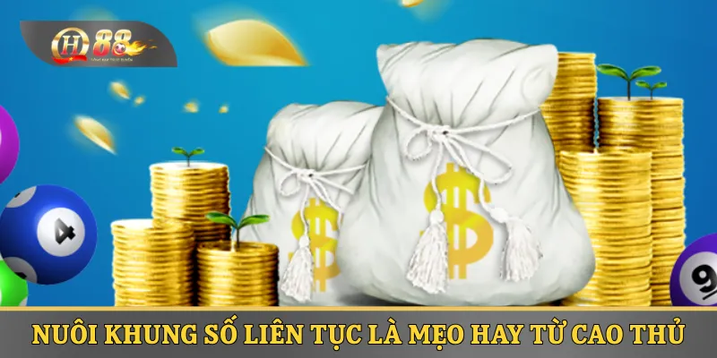 Nuôi khung số liên tục là mẹo hay từ cao thủ